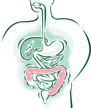 Prebio 7 - gastro intestinalni črevesni trakt